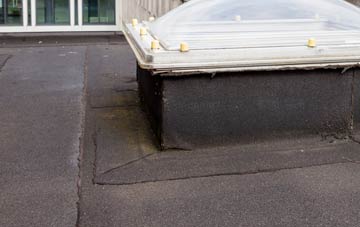 disadvantages of Polruan flat roofs