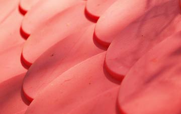 Polruan plastic roof costs