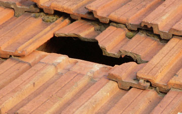 roof repair Polruan, Cornwall