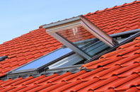 Polruan roof window